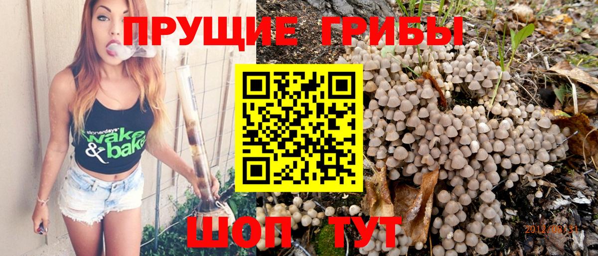 Невинномысск  Меф кристаллы  Вход с VPN  Купить наркоту  Гашиш  МАРИХУАНА  КОКАИН  LSD-25 