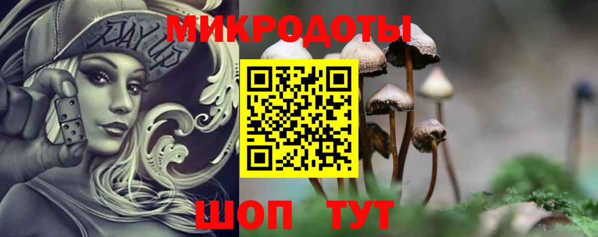 наркошоп  Псилоцибиновые грибы Psilocybe  Вход с VPN  Невинномысск 